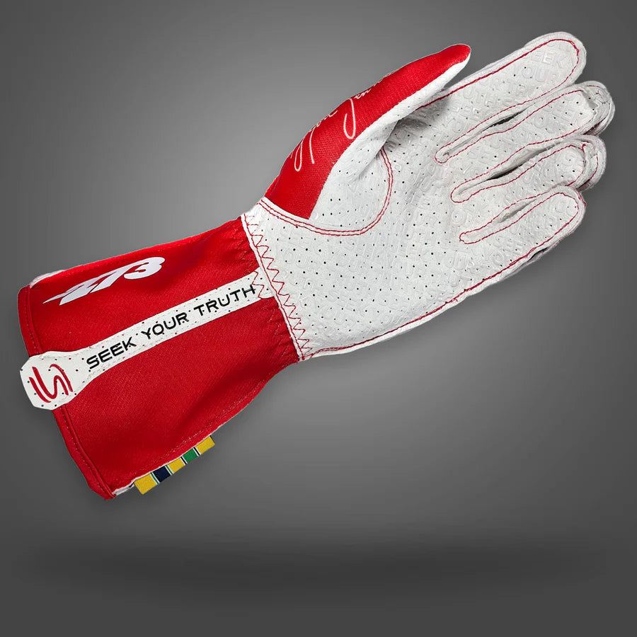 273 x AYRTON SENNA Gloves Red